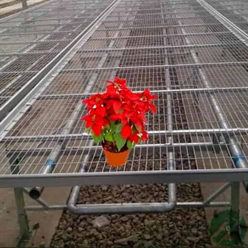 实验室加热仪器_实验室加热仪器叫什么